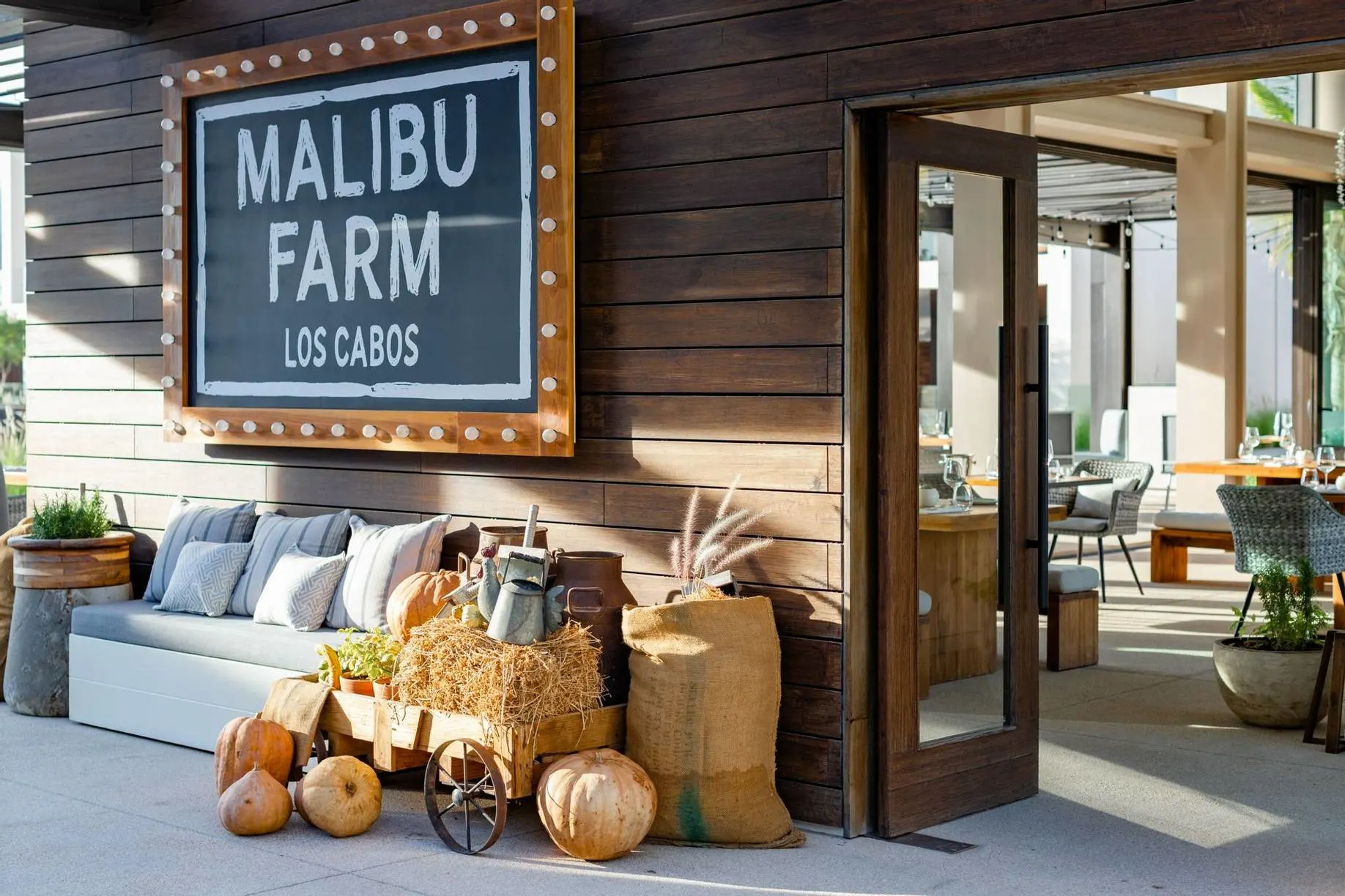 Malibu Farm Los Cabos farm-to-table